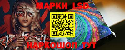 тгк Шебекино