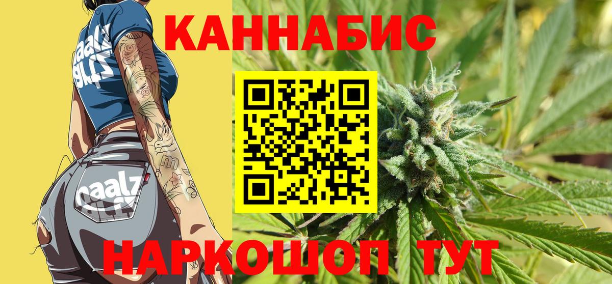 Канабис семена Ачхой-Мартан